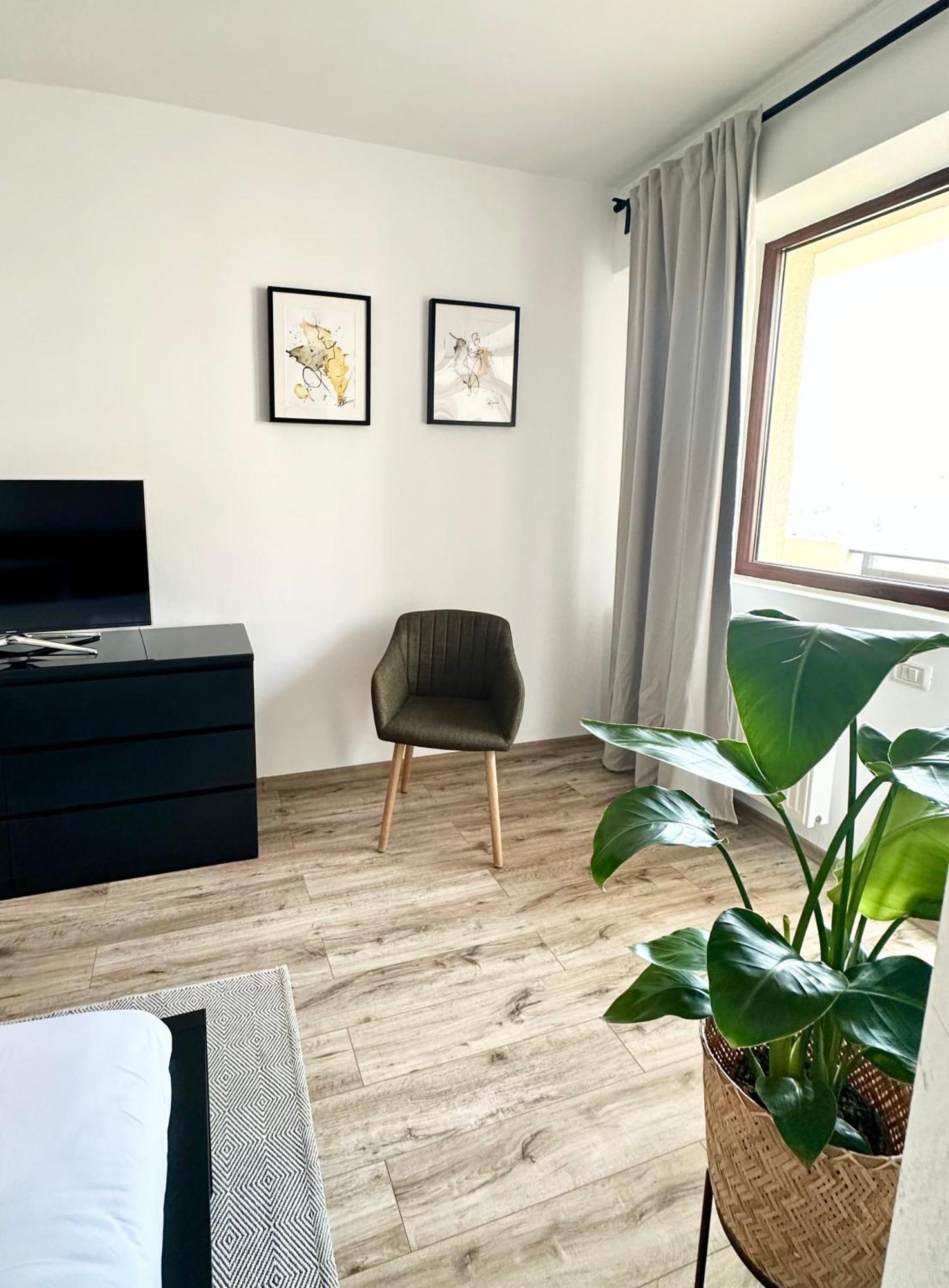 布加勒斯特Tree House公寓 外观 照片